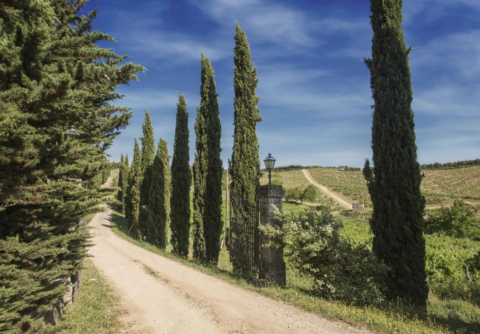 Gasthaus Relais Santa Cristina Radda in Chianti Exterior foto